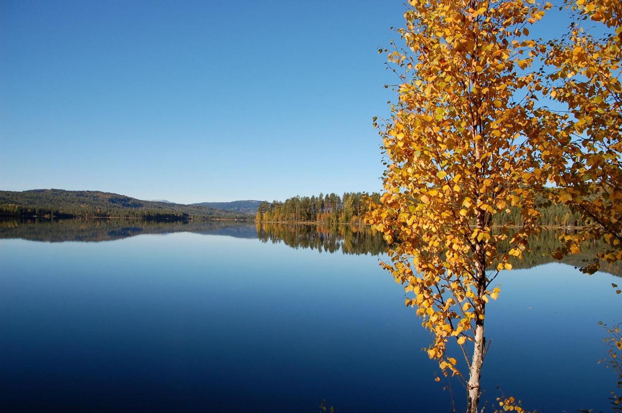Halvorseth Villa Prestfoss Bagian luar foto